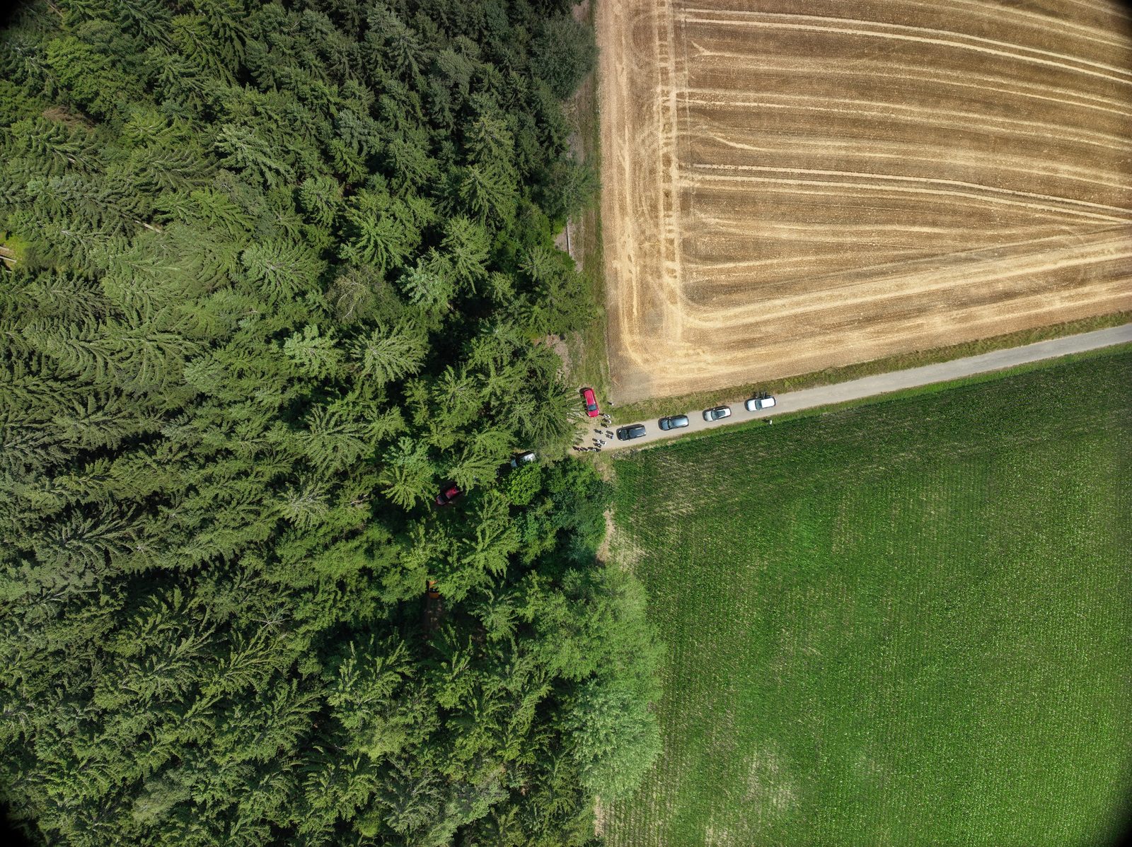 Luftbild Bestandsrand Oberpfalz